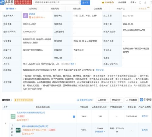 互聯網信息服務的多維演進與未來展望